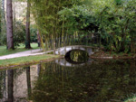 Puente soble el estanque