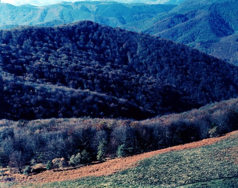Foto a�rea 1996