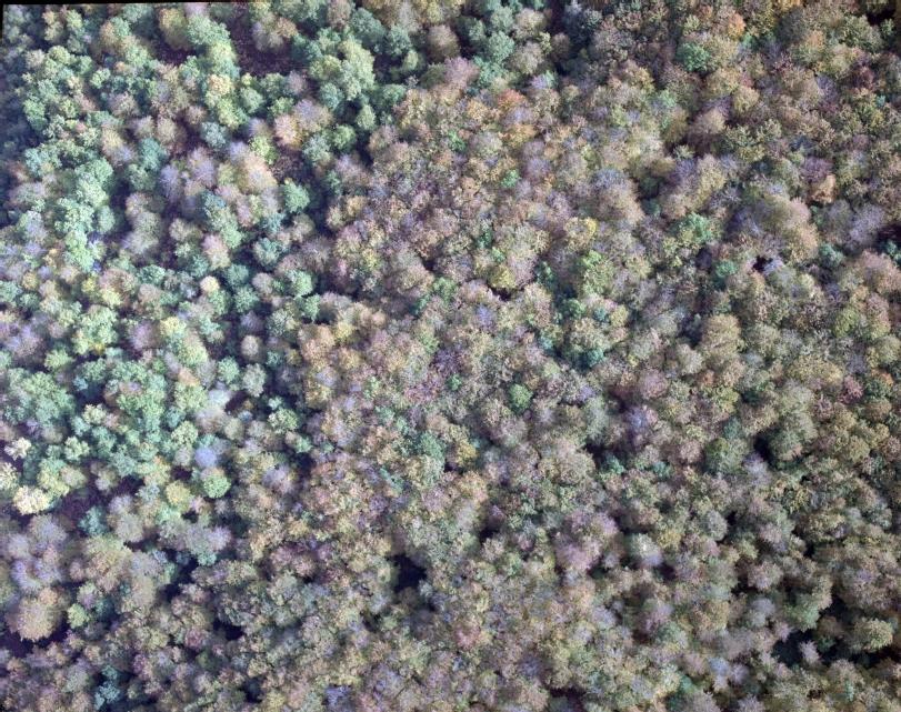 Foto aérea 1995
