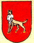 Escudo de Iciz / Izize