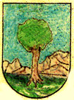 Escudo de Lizarraga de Izagaondoa / Lizarraga