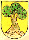 Escudo de Larraga