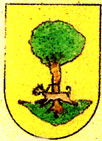 Escudo de Iriberri