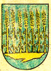 Escudo de Asiáin / Asiain