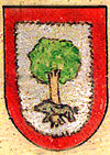 Escudo de Hiriberri / Villanueva de Aezkoa