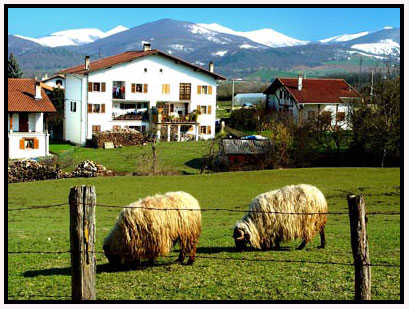 Foto de Iraizotz