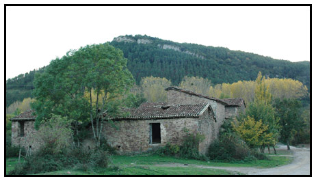 Foto de Arce / Artzi