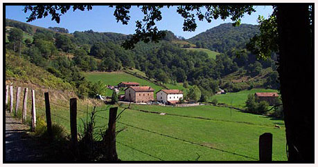 Foto de