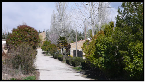 Foto de San Isidro del Pinar