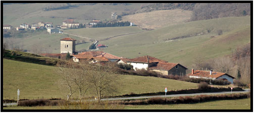 Foto de Cía / Zia
