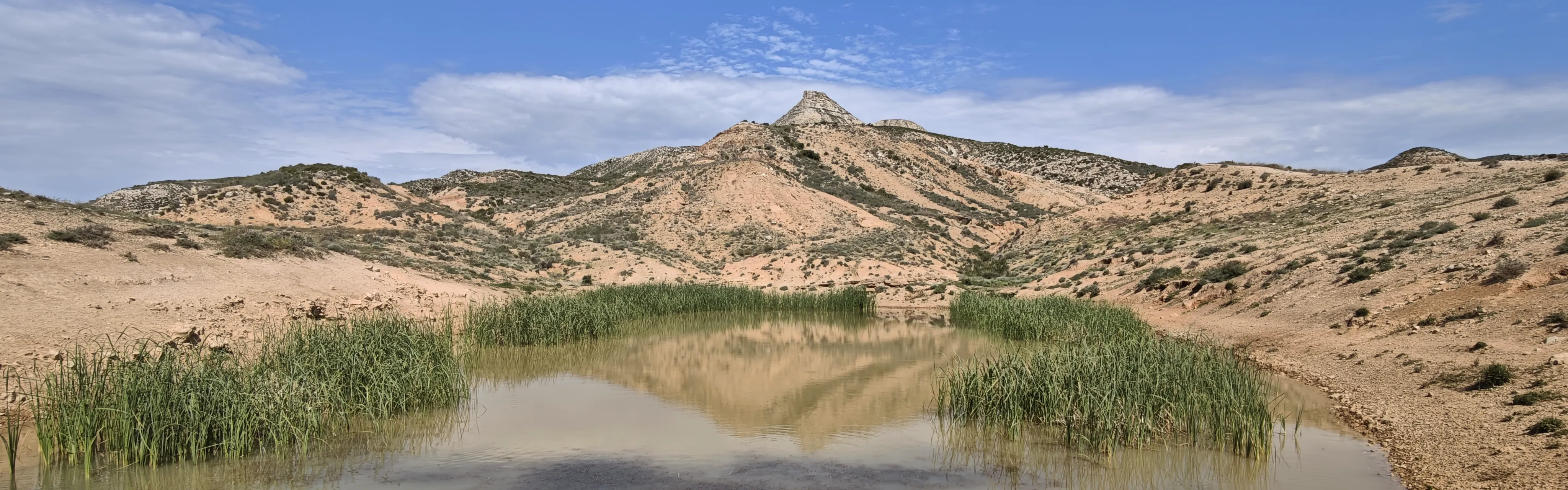 Bardenas
