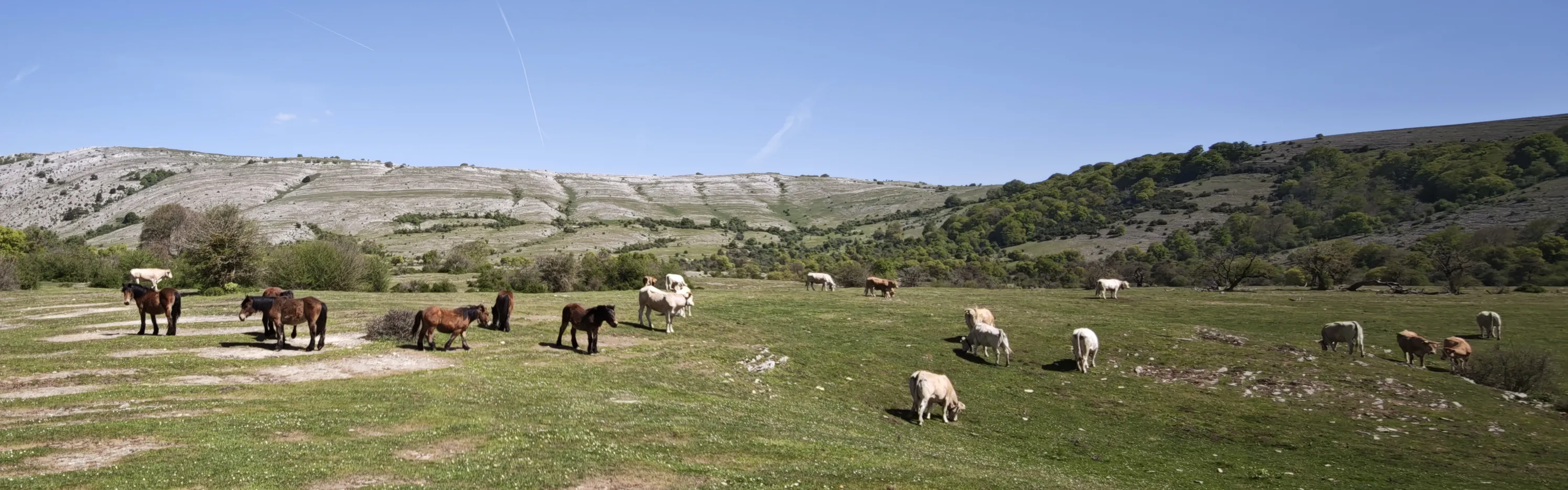 Calzada de Salbide