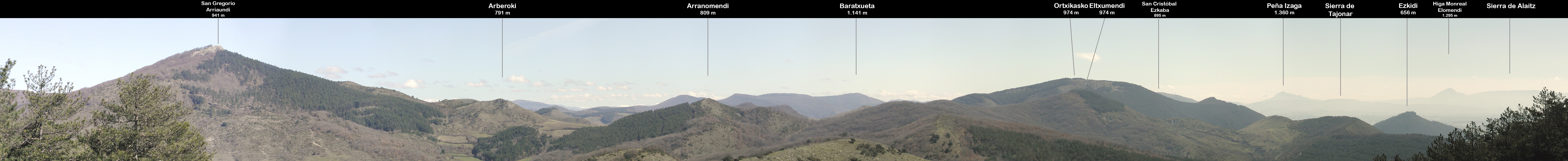 Desde el monte Mendi vista SE. Sarasate