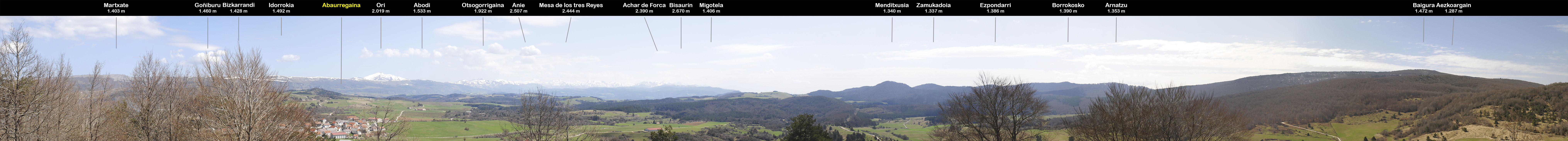 Desde Mendizorrotz / Mendizorrotztik. Abaurregaina /Abaurrea Alta