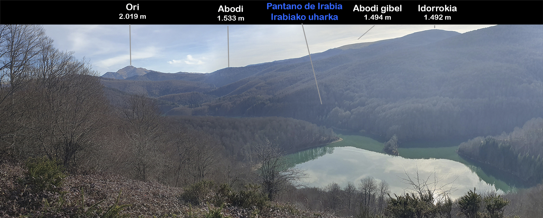 Desde Mozolotxiki / Mozolotxiki. Monte Aezkoa / Aezkoako Mendiak