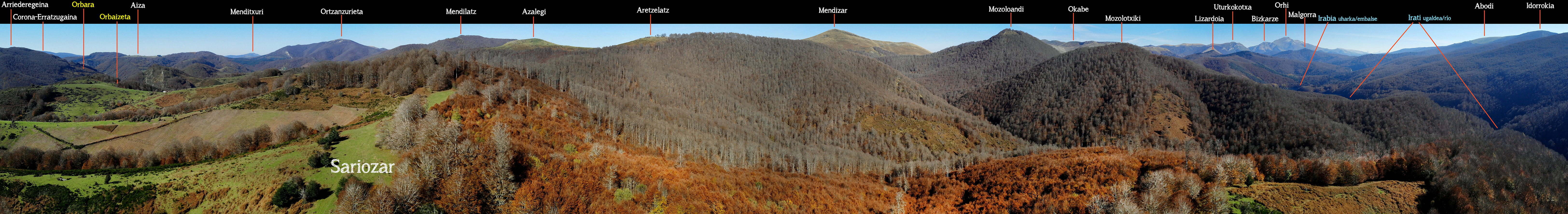 Selva de Irati desde Sariozar. Aezkoa