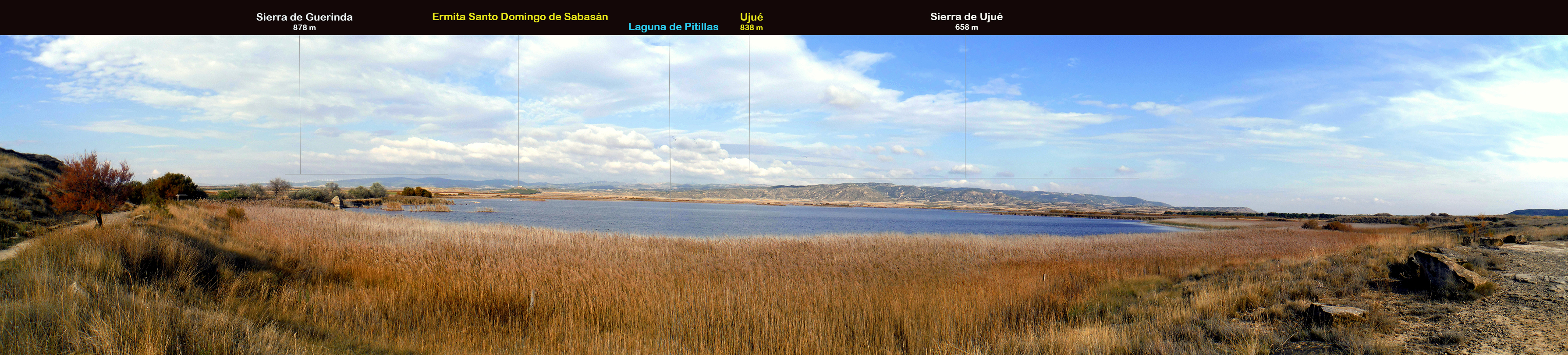 Laguna de Pitillas