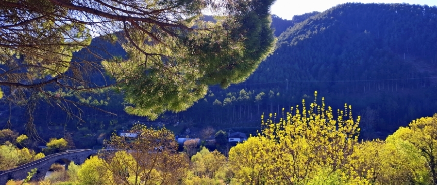 Imagen de la ruta Senderos de Aoiz - Axarimendia