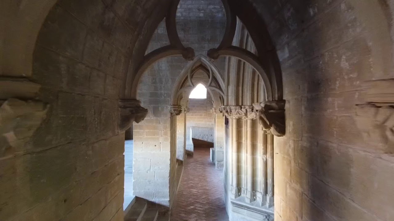 Ver video