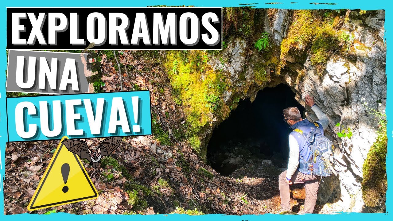 Ver video