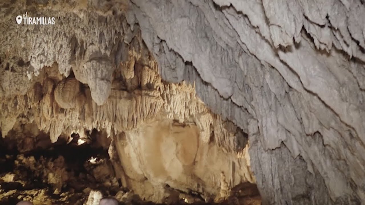 Ver video
